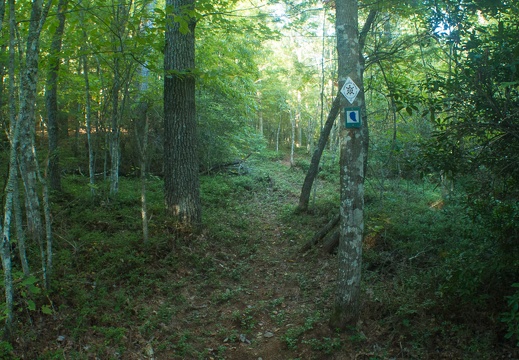 New ST Trail-5.jpg